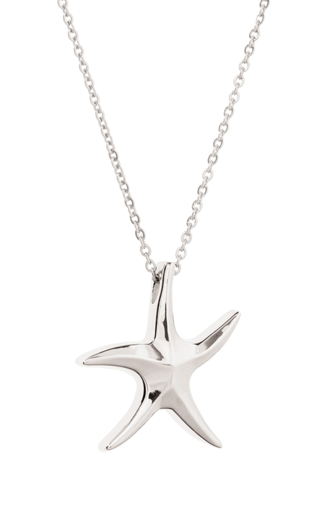 Stainless Steel Starfish